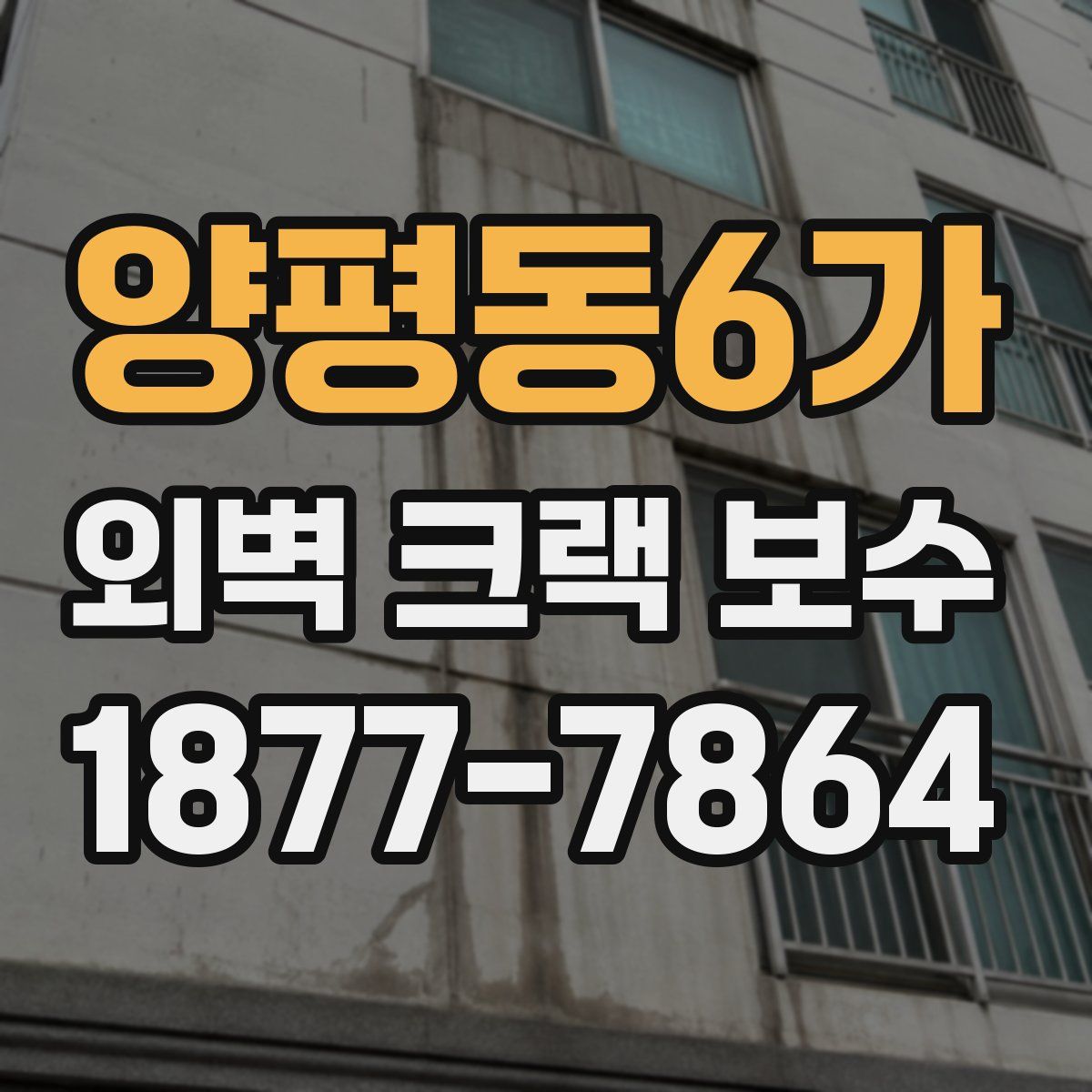 양평동6가 외벽 크랙 보수