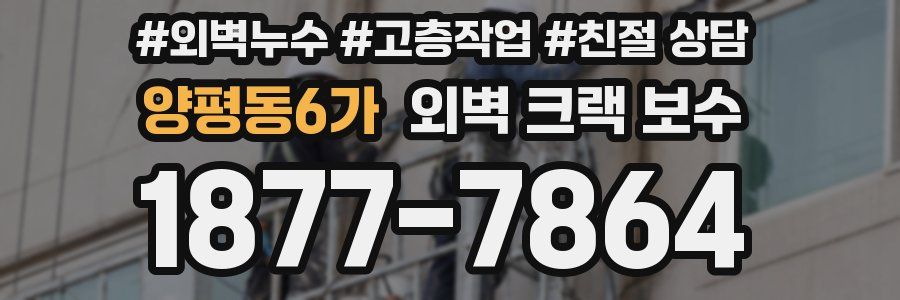 양평동6가 외벽 크랙 보수