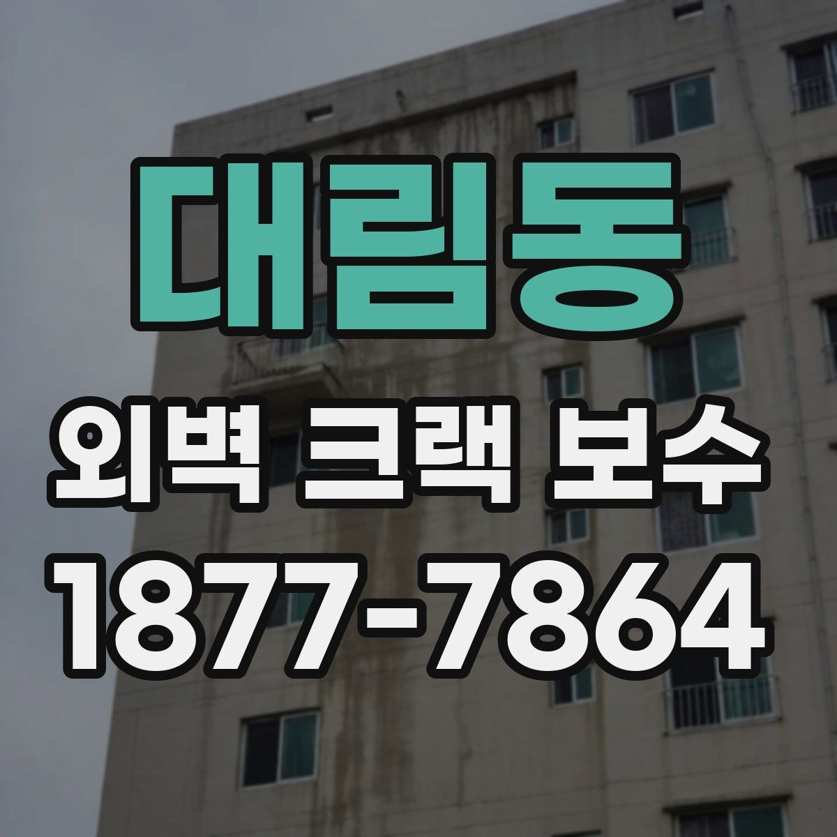 대림동 외벽 크랙 보수