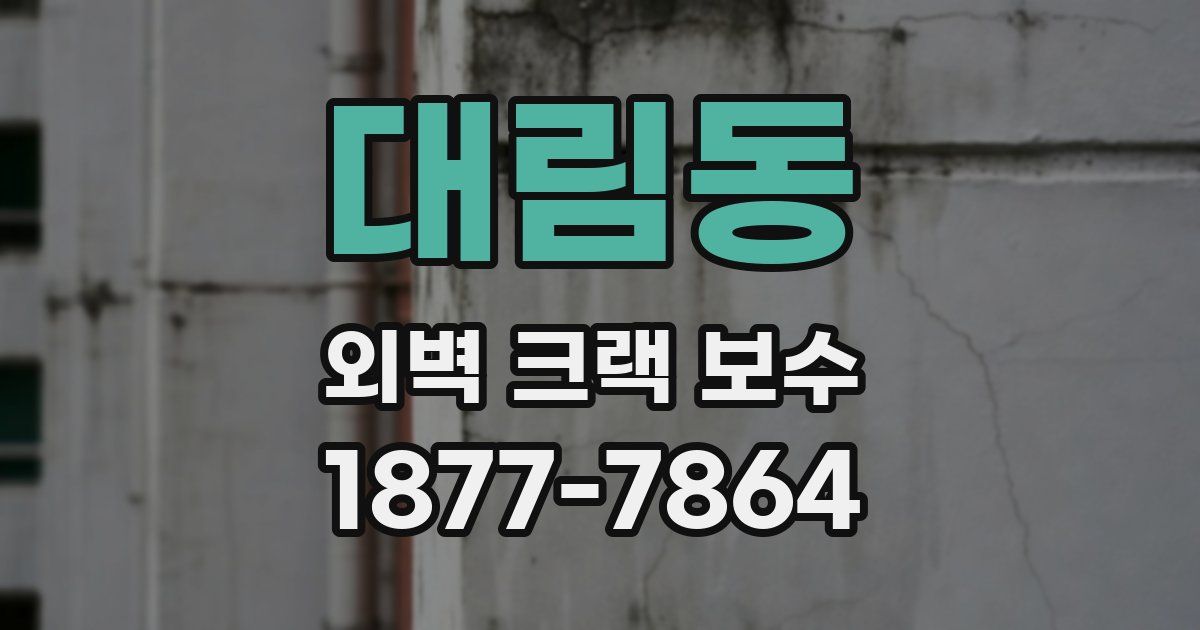 대림동 외벽 크랙 보수