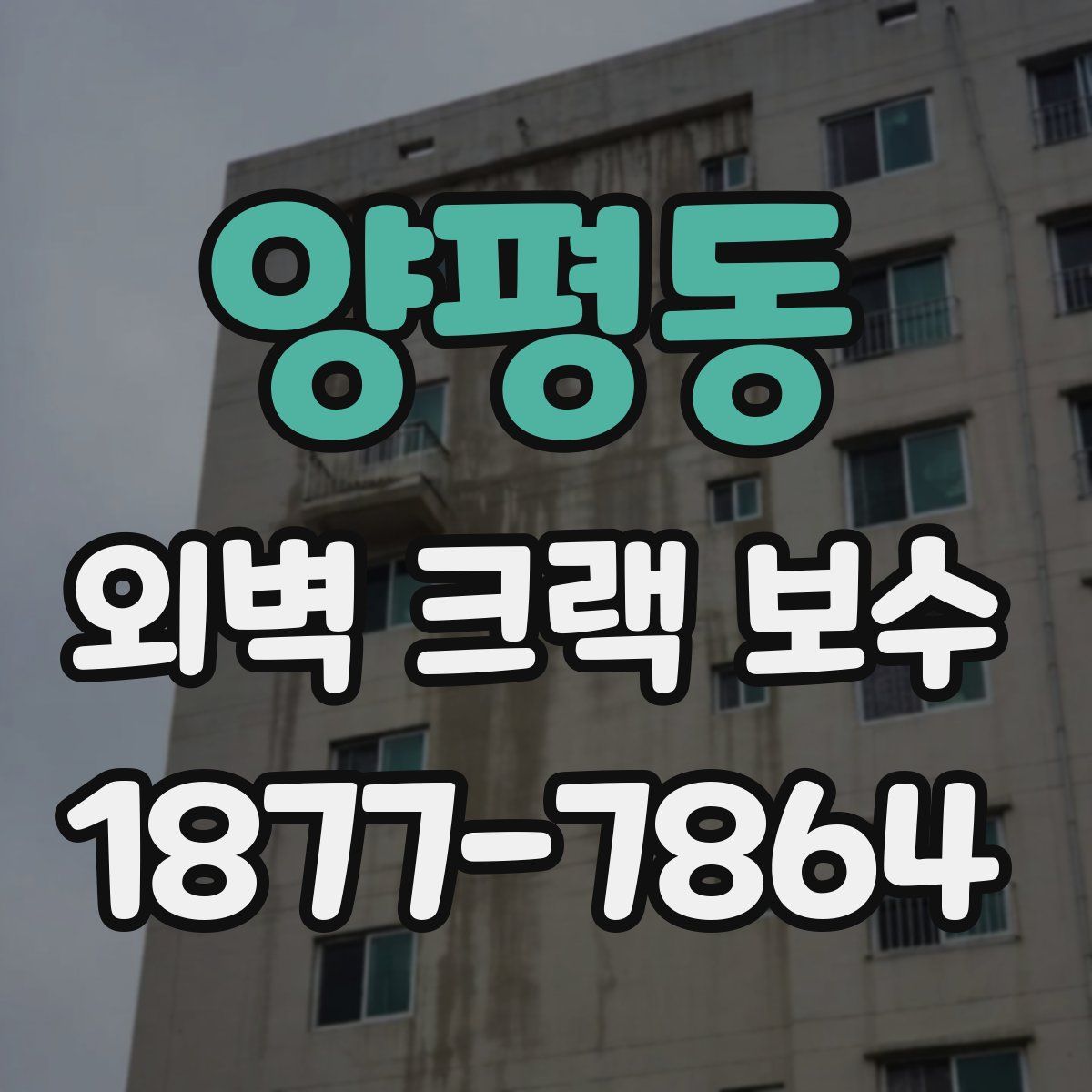 양평동 외벽 크랙 보수