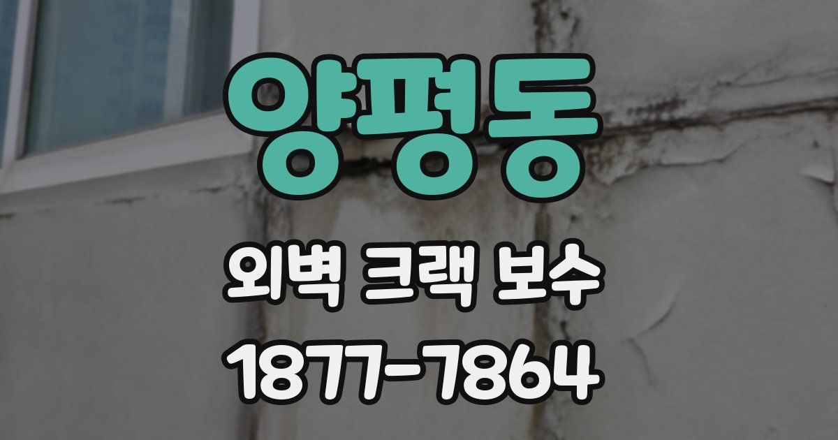 양평동 외벽 크랙 보수