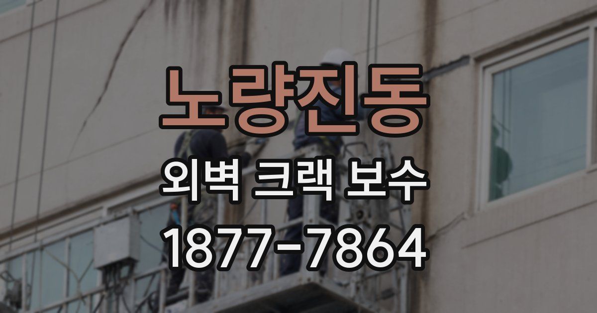 노량진동 외벽 크랙 보수