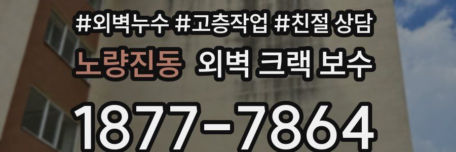 노량진동 외벽 크랙 보수