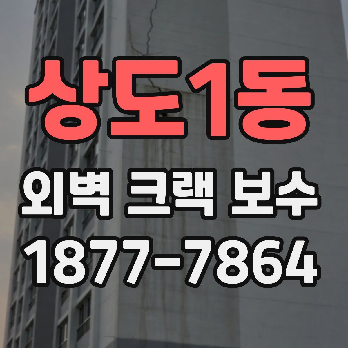 상도1동 외벽 크랙 보수