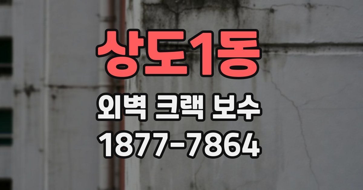 상도1동 외벽 크랙 보수