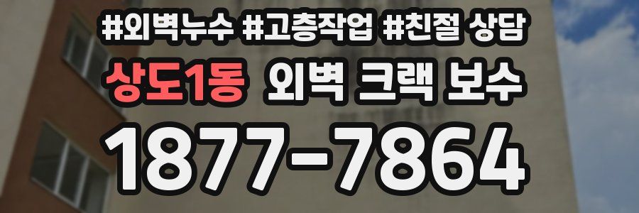 상도1동 외벽 크랙 보수