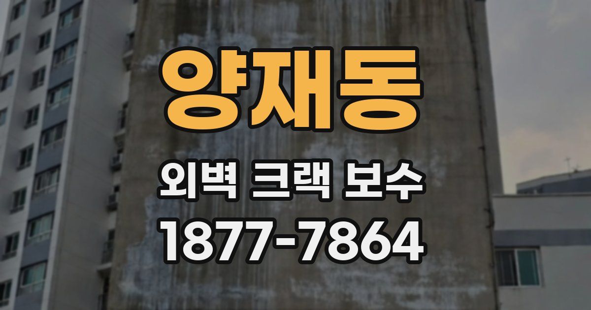 양재동 외벽 크랙 보수