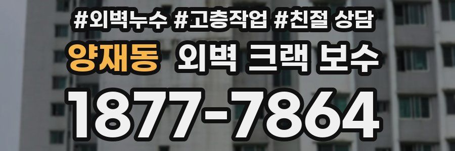 양재동 외벽 크랙 보수