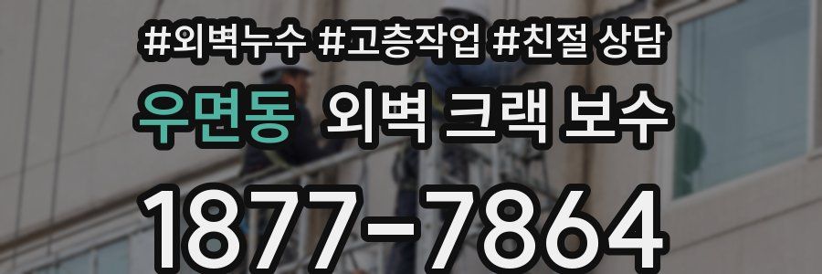 우면동 외벽 크랙 보수