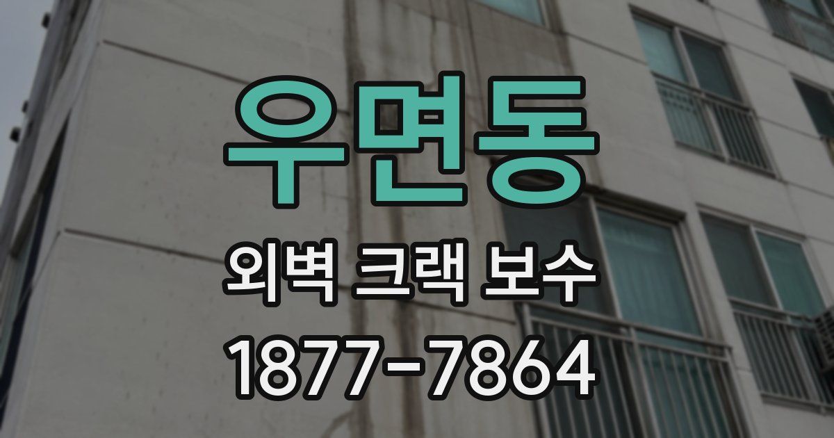 우면동 외벽 크랙 보수