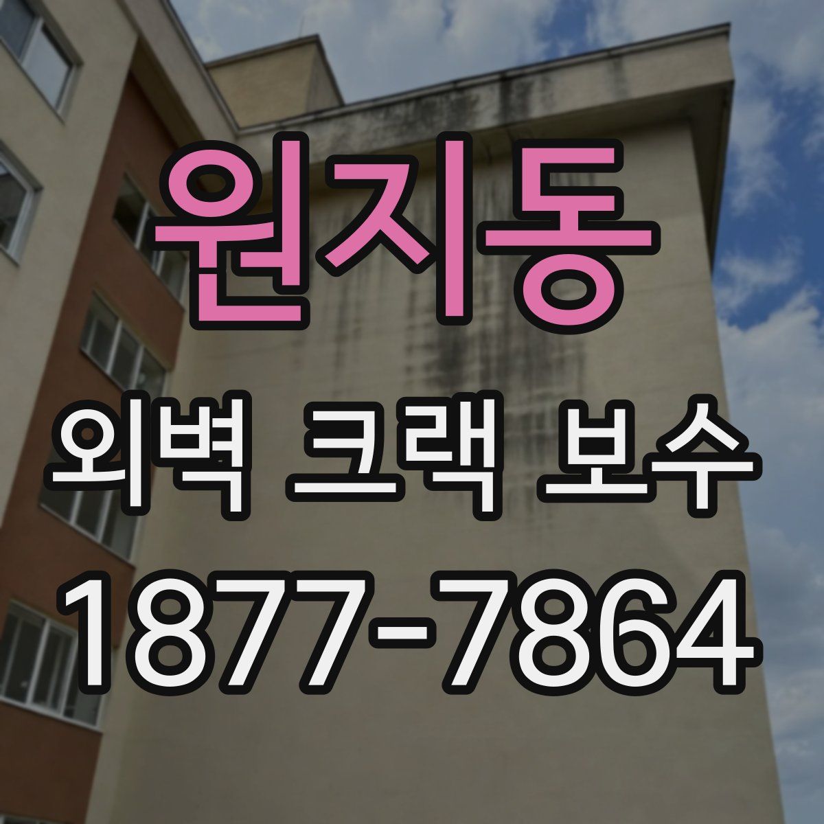 원지동 외벽 크랙 보수