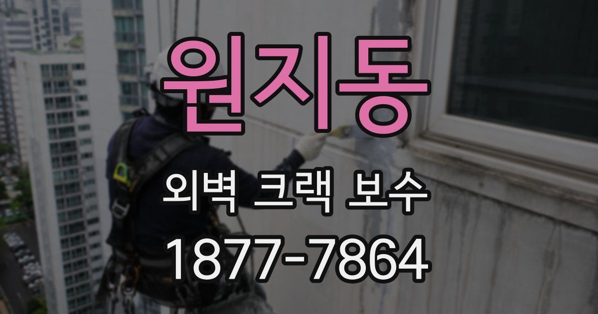 원지동 외벽 크랙 보수