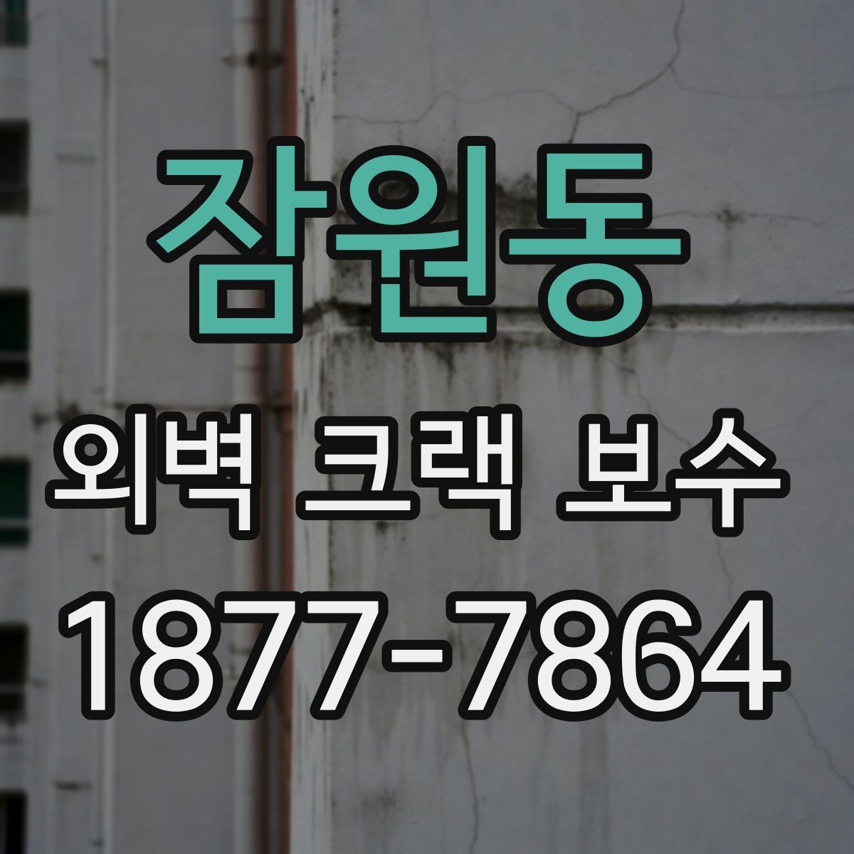 잠원동 외벽 크랙 보수