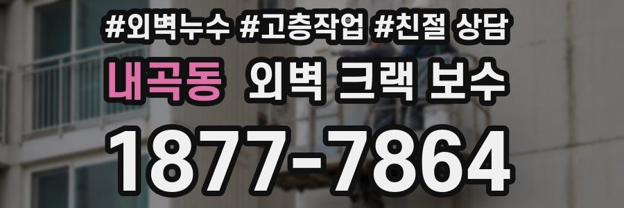 내곡동 외벽 크랙 보수