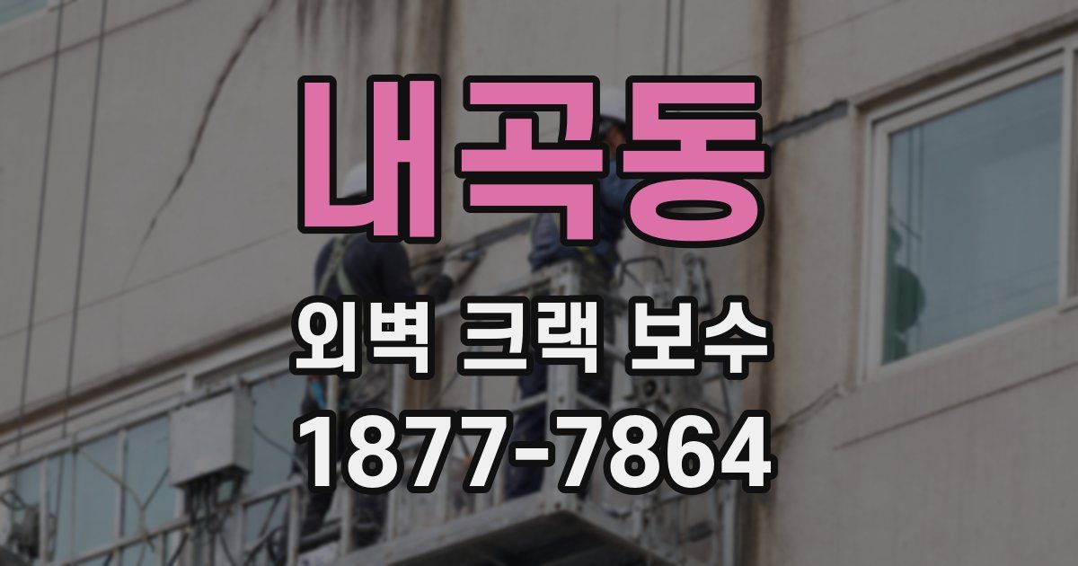 내곡동 외벽 크랙 보수