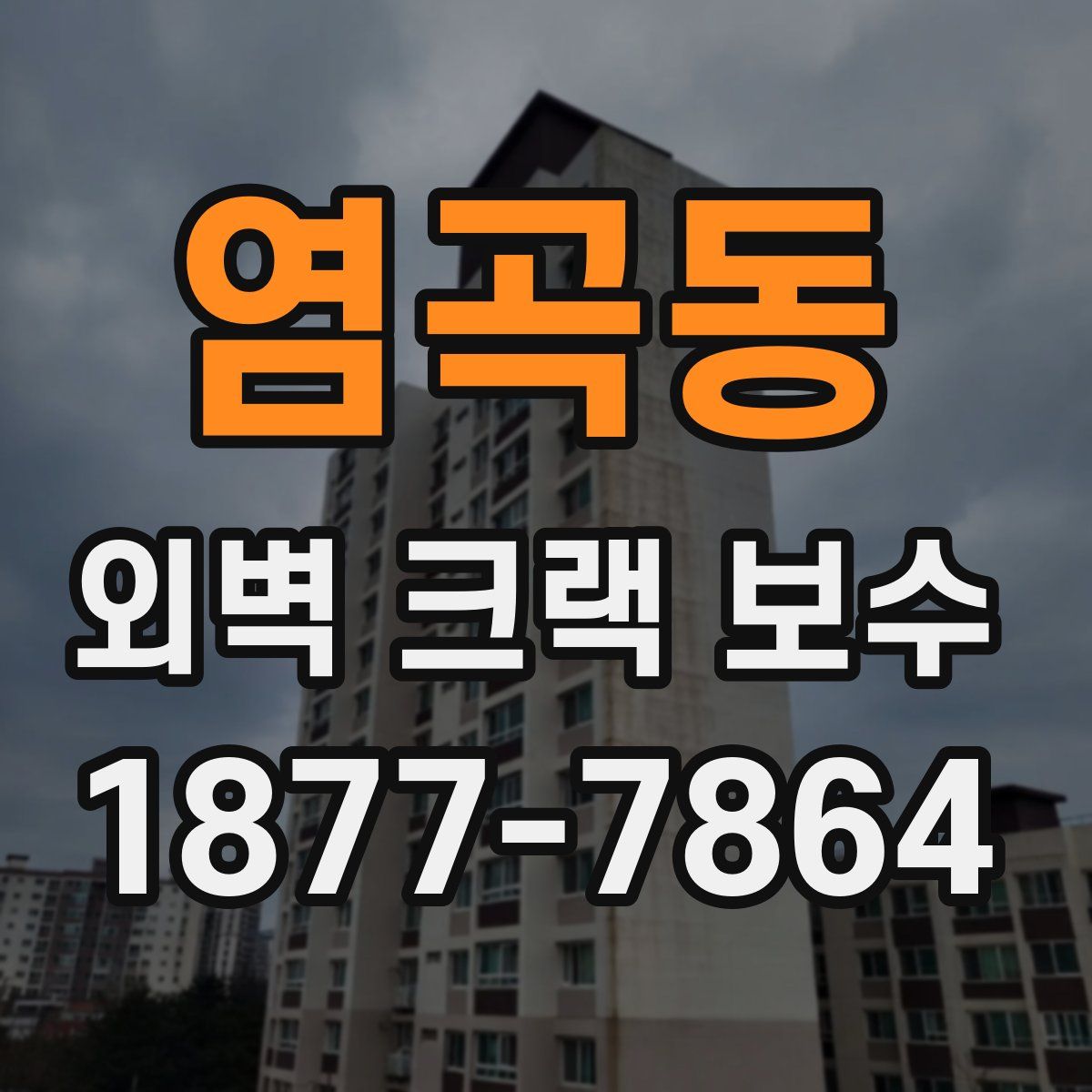 염곡동 외벽 크랙 보수