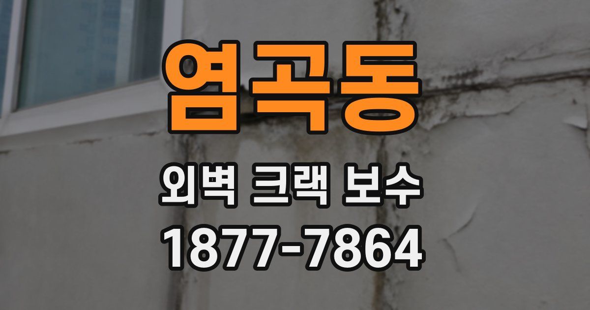염곡동 외벽 크랙 보수