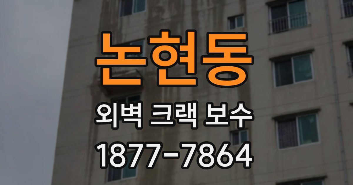 논현동 외벽 크랙 보수