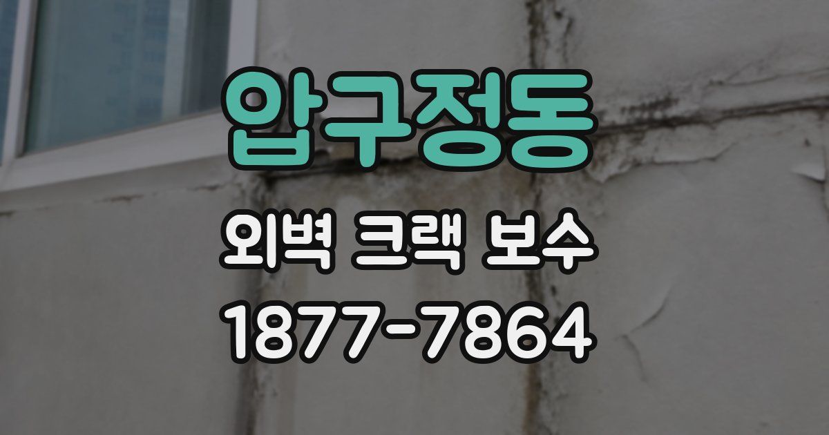 압구정동 외벽 크랙 보수