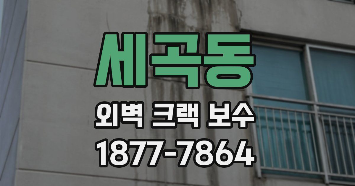 세곡동 외벽 크랙 보수