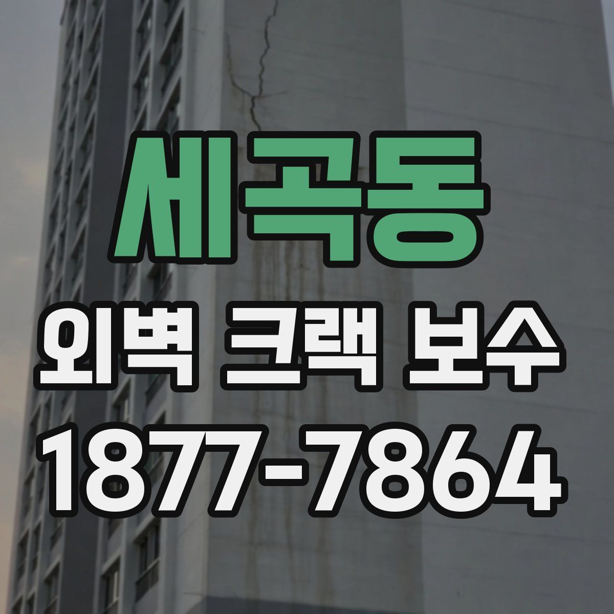 세곡동 외벽 크랙 보수