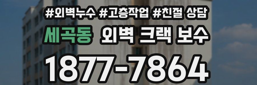세곡동 외벽 크랙 보수