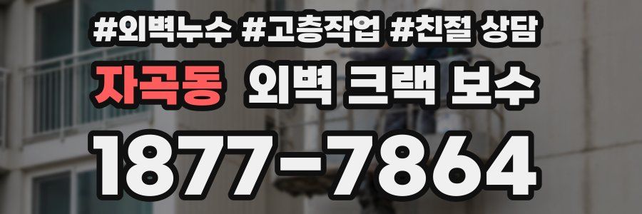 자곡동 외벽 크랙 보수