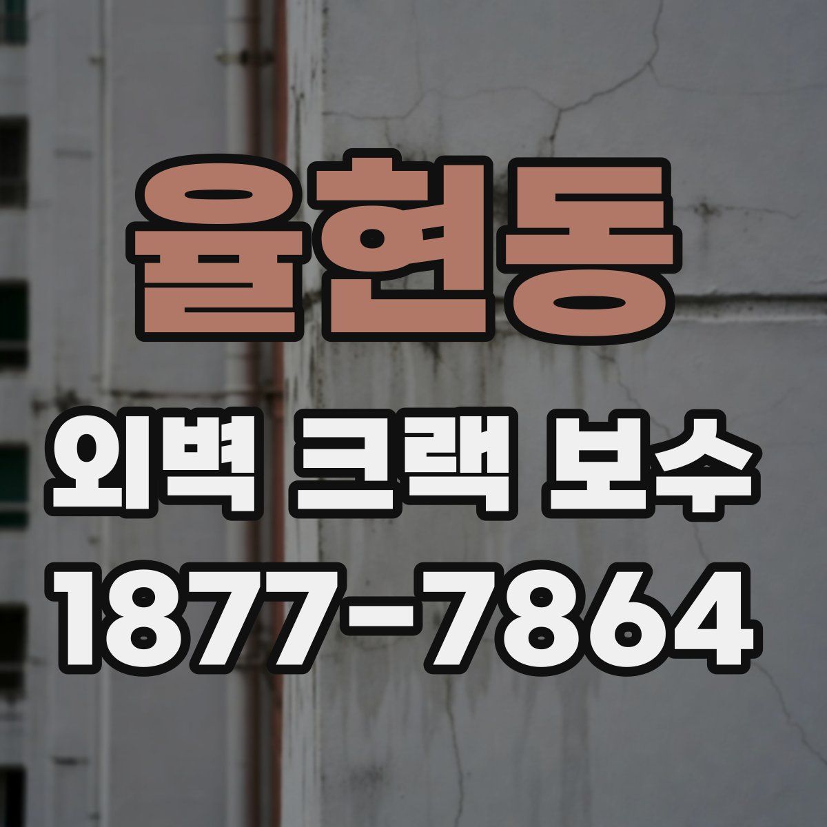 율현동 외벽 크랙 보수