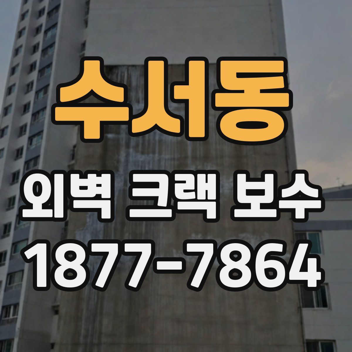 수서동 외벽 크랙 보수