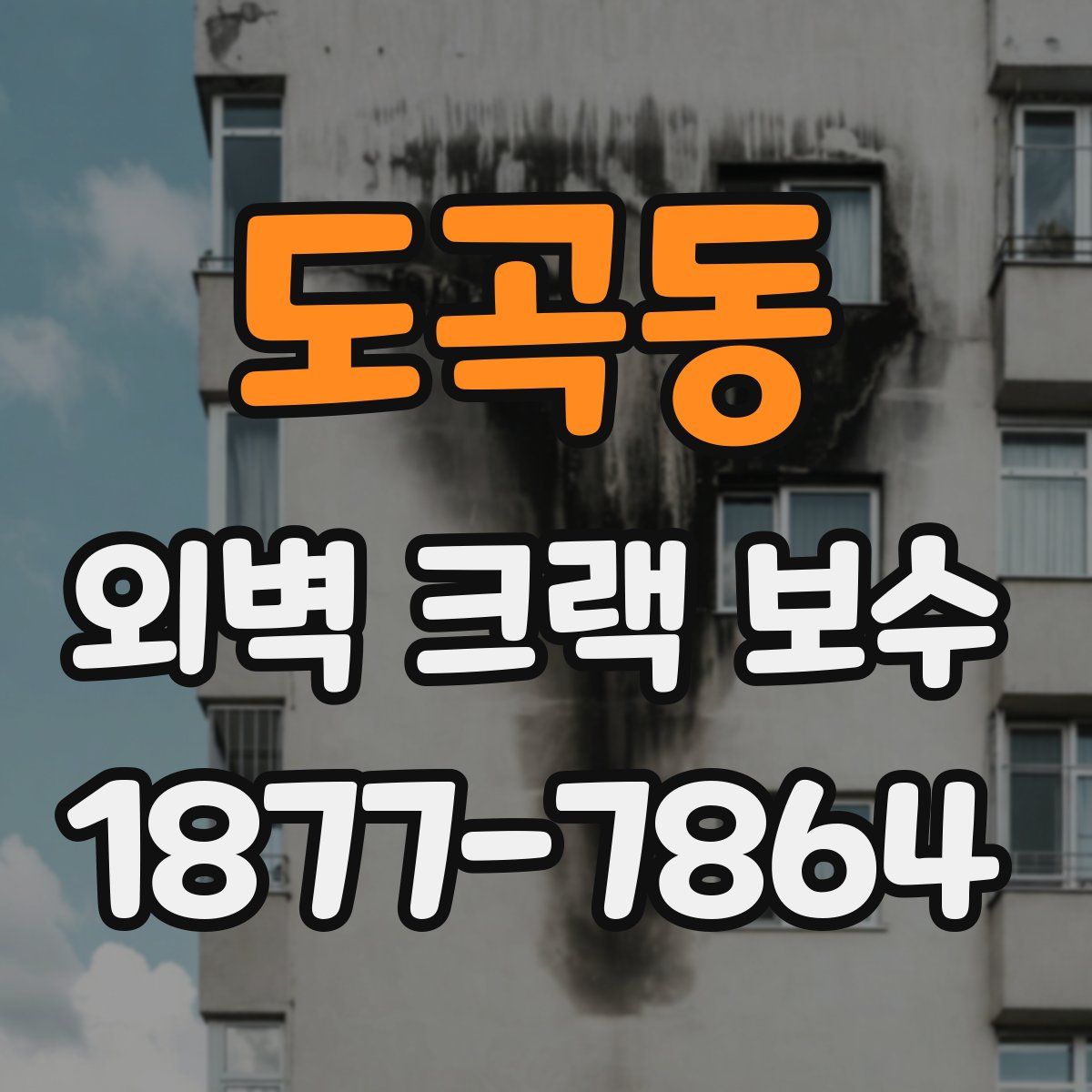 도곡동 외벽 크랙 보수