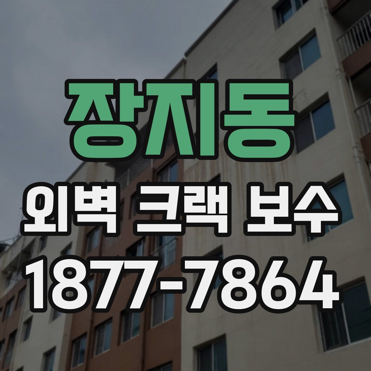 장지동 외벽 크랙 보수