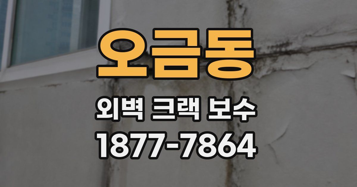 오금동 외벽 크랙 보수