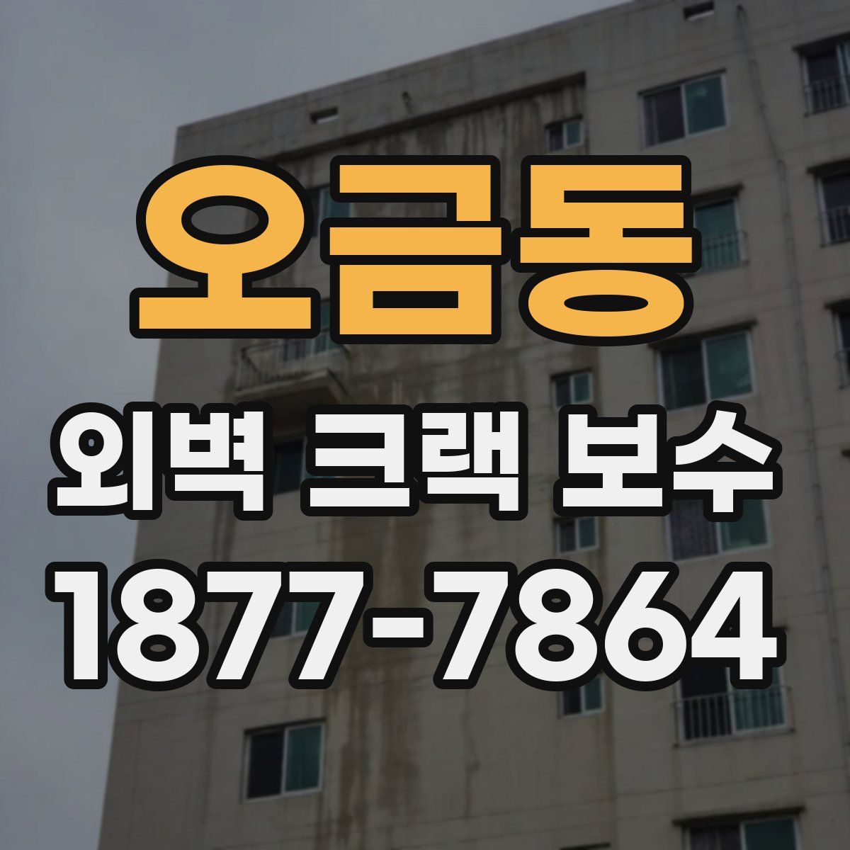 오금동 외벽 크랙 보수