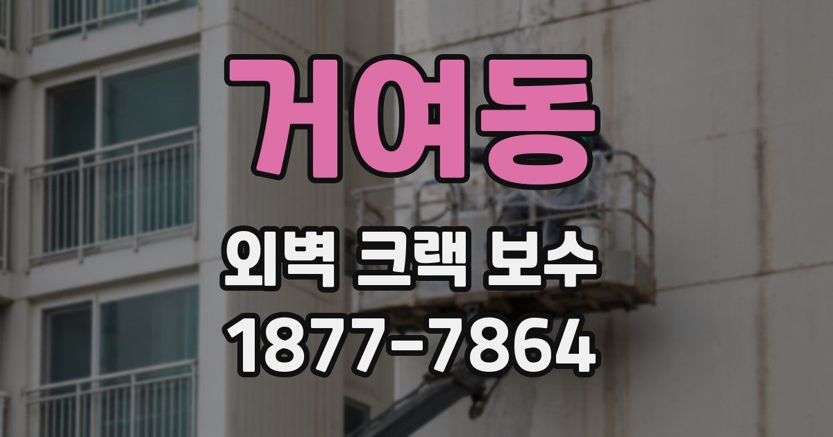 거여동 외벽 크랙 보수