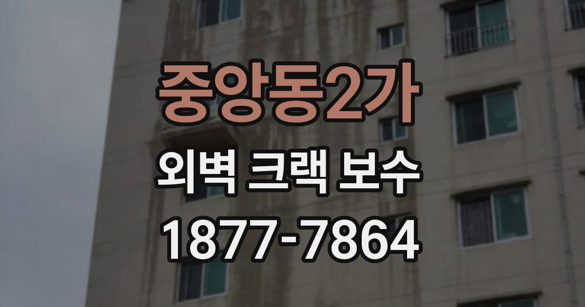 중앙동2가 외벽 크랙 보수
