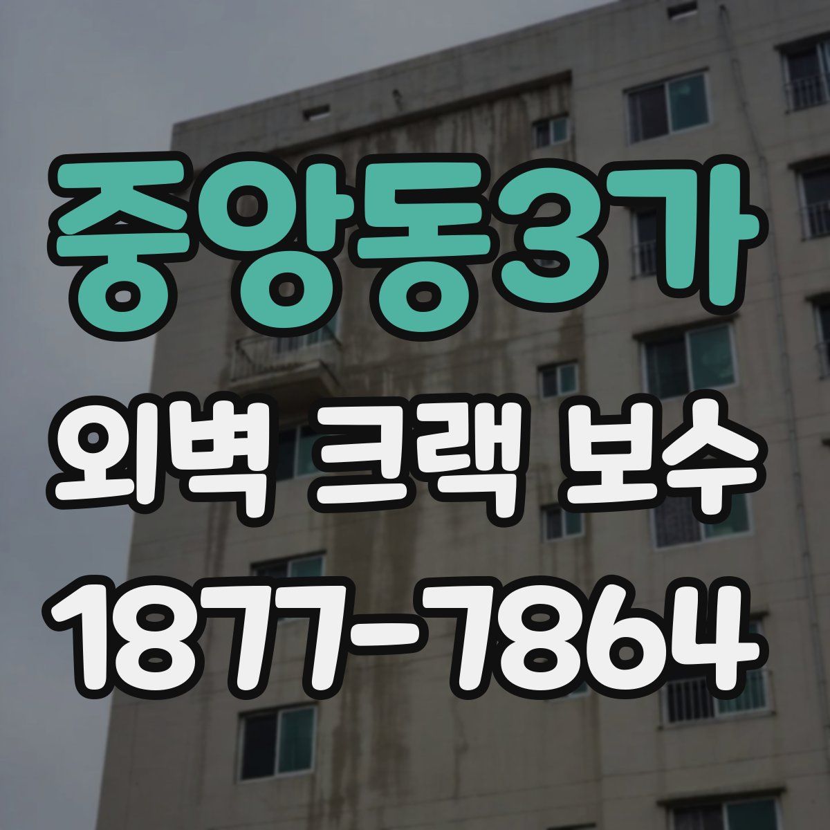 중앙동3가 외벽 크랙 보수