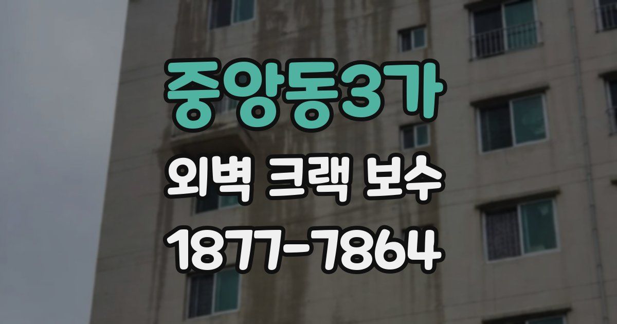 중앙동3가 외벽 크랙 보수