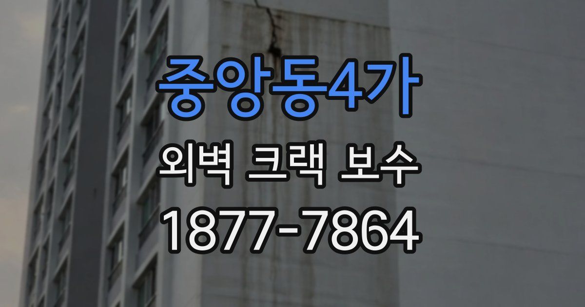 중앙동4가 외벽 크랙 보수