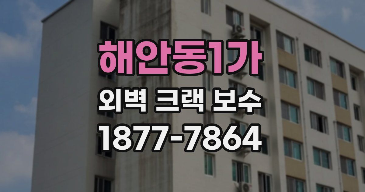 해안동1가 외벽 크랙 보수