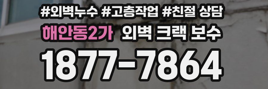 해안동2가 외벽 크랙 보수