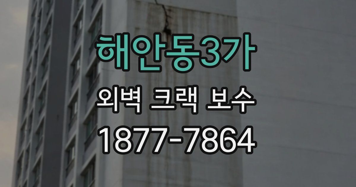 해안동3가 외벽 크랙 보수