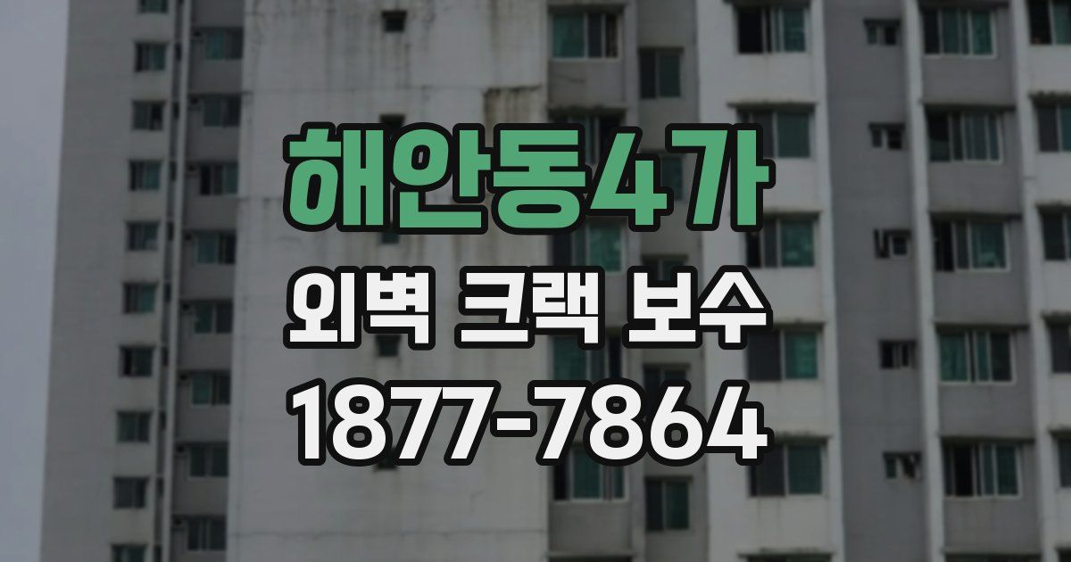 해안동4가 외벽 크랙 보수