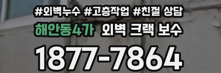 해안동4가 외벽 크랙 보수