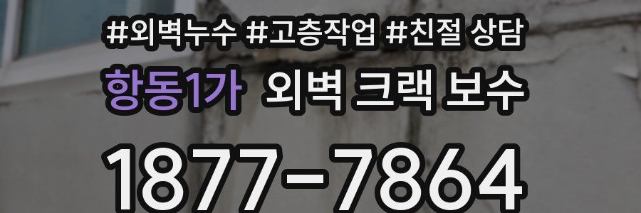 항동1가 외벽 크랙 보수