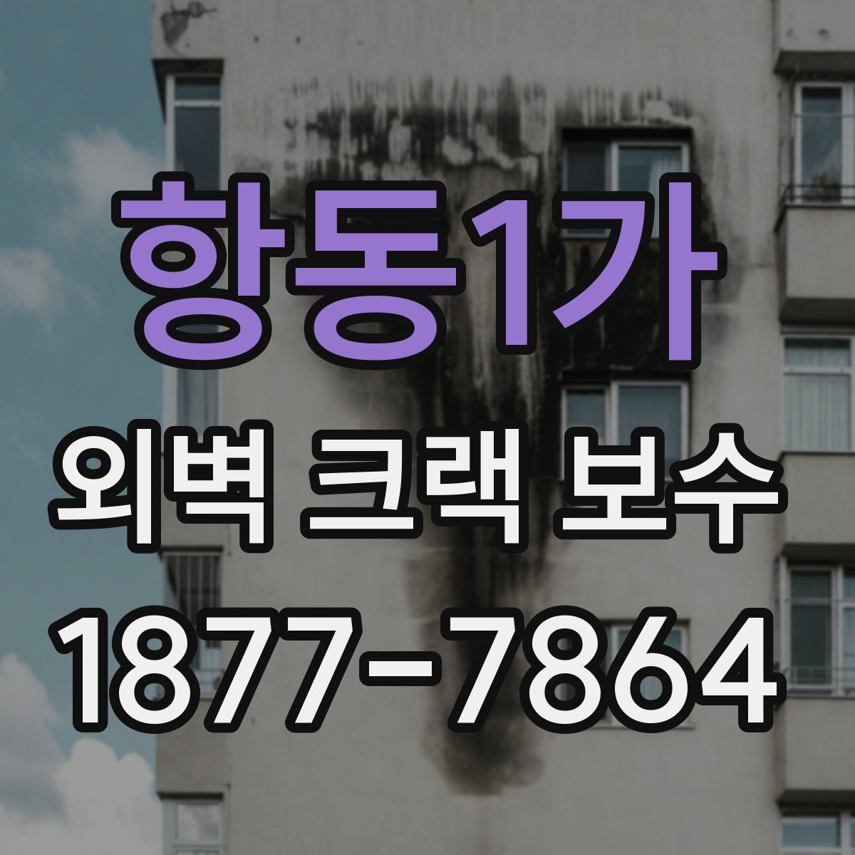 항동1가 외벽 크랙 보수