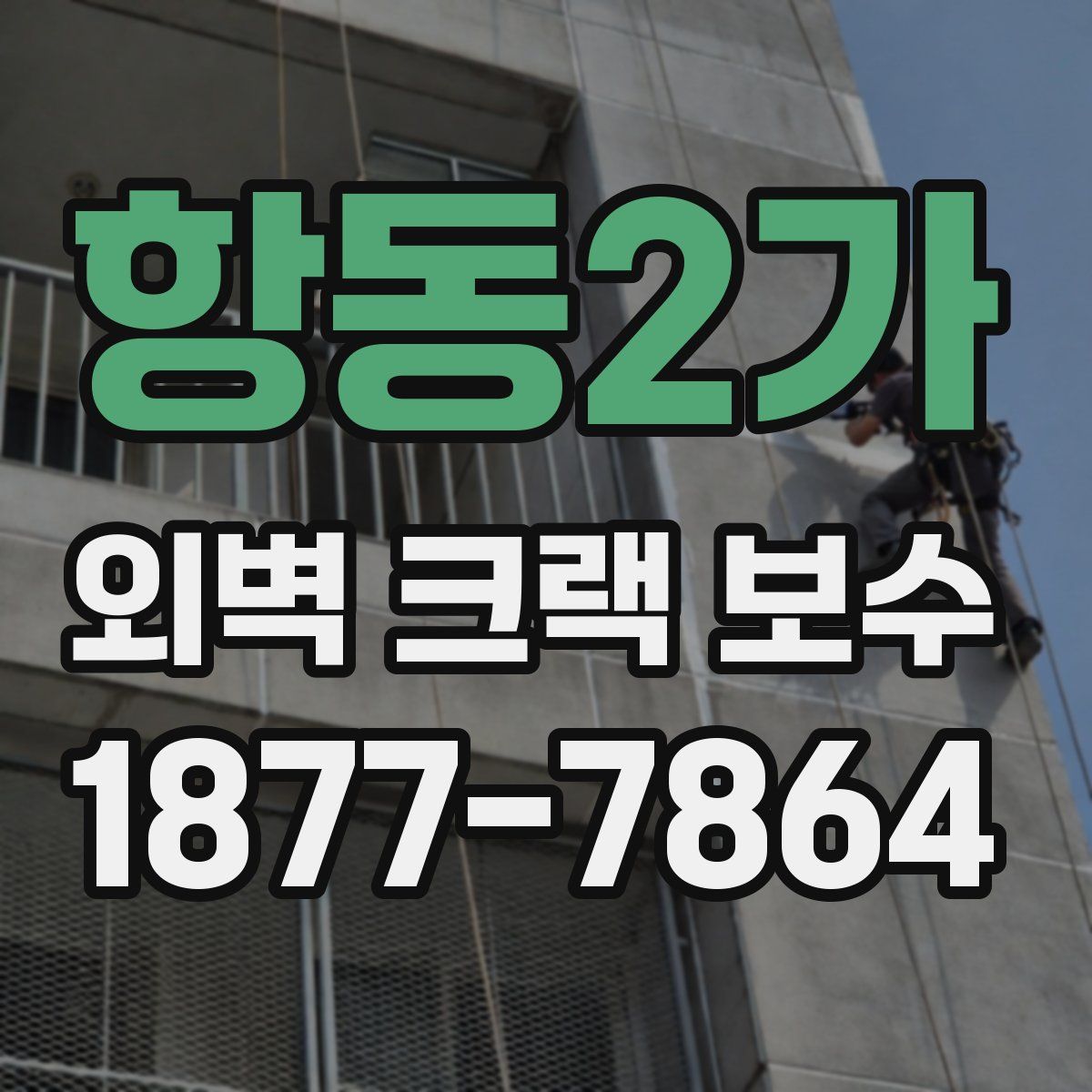 항동2가 외벽 크랙 보수