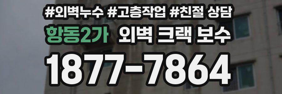 항동2가 외벽 크랙 보수