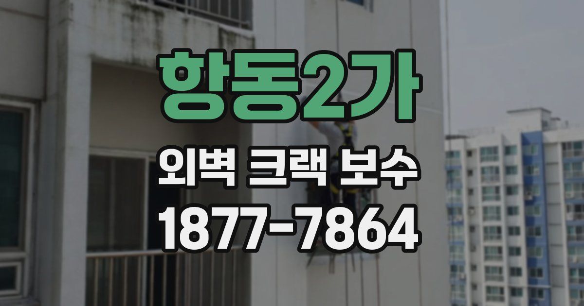 항동2가 외벽 크랙 보수