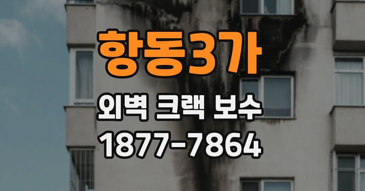 항동3가 외벽 크랙 보수